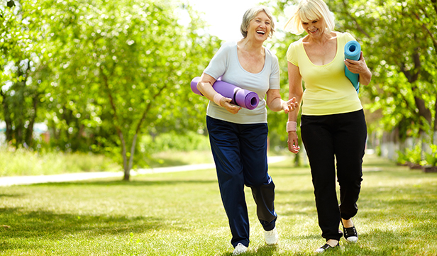 Exercise Guidelines For Adults exercise-guidelines-for-adults